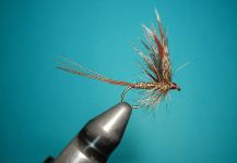 Fly for Loch Leven trout German - Photo shared by Agostino Roncallo – Fly dreamers 