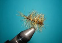 Fly-tying for Marrones - Pic by Agostino Roncallo 