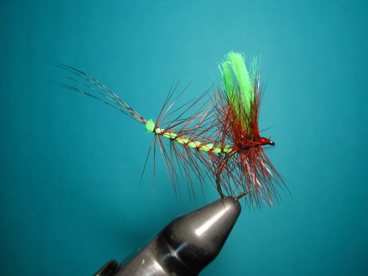 Fluorescent skater fly