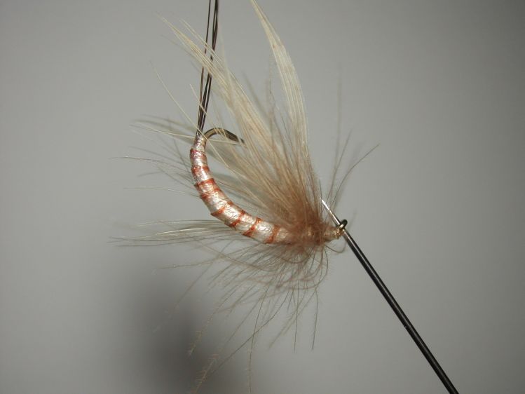 Mayfly reverse