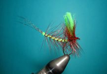 Fly-tying for brown trout - Pic shared by Agostino Roncallo – Fly dreamers 