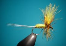 Fly for von Behr trout - Picture shared by Agostino Roncallo – Fly dreamers