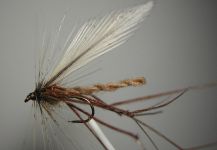 Fly-tying for von Behr trout - Photo shared by Agostino Roncallo – Fly dreamers 