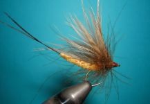 Agostino Roncallo 's Fly for Brownie - – Fly dreamers 