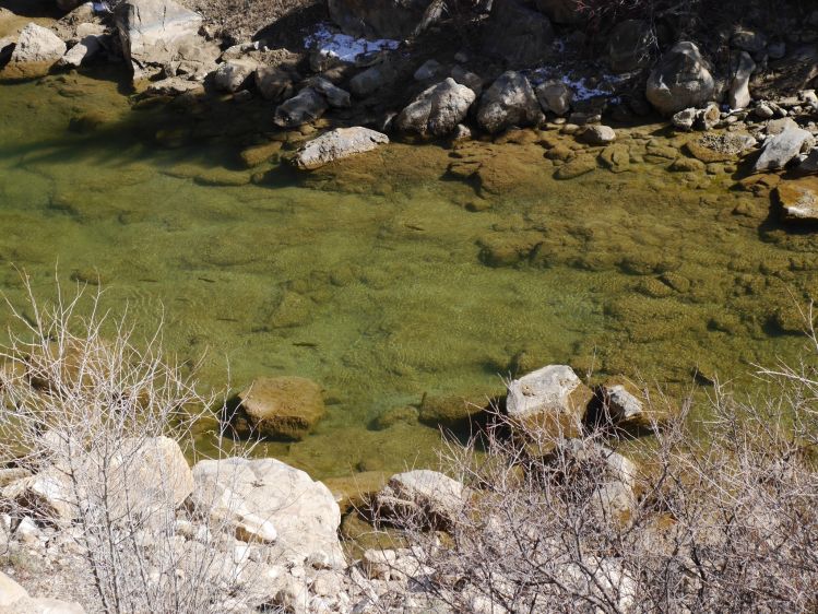 Aquarium clear river.