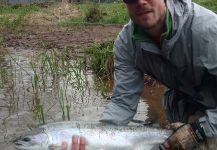 Nate Fritts 's Fly-fishing Image of a Steelhead – Fly dreamers 