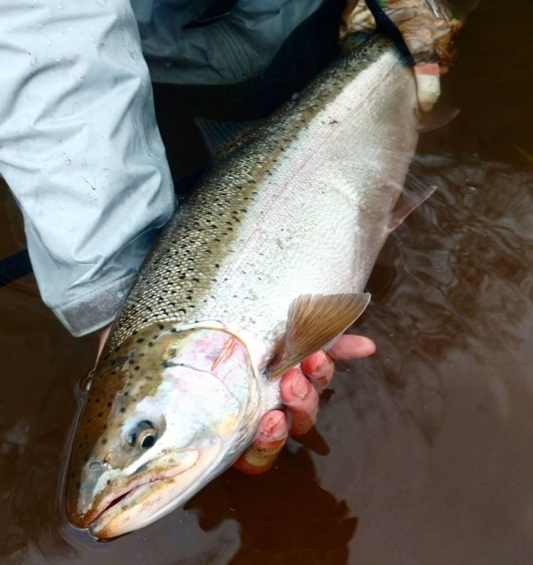 A fresh slab from a small stream