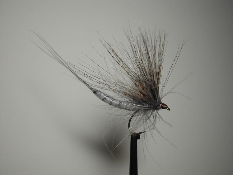 Mayfly spinner