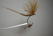 Fly-tying for Brown trout - Pic shared by Agostino Roncallo – Fly dreamers 