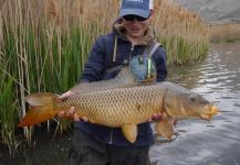 Luke Alder 's Fly-fishing Catch of a Cyprinus carpio – Fly dreamers 