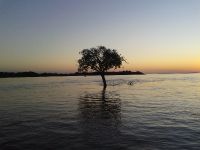 Atardeceres espectaculares en Paso de la Patria.