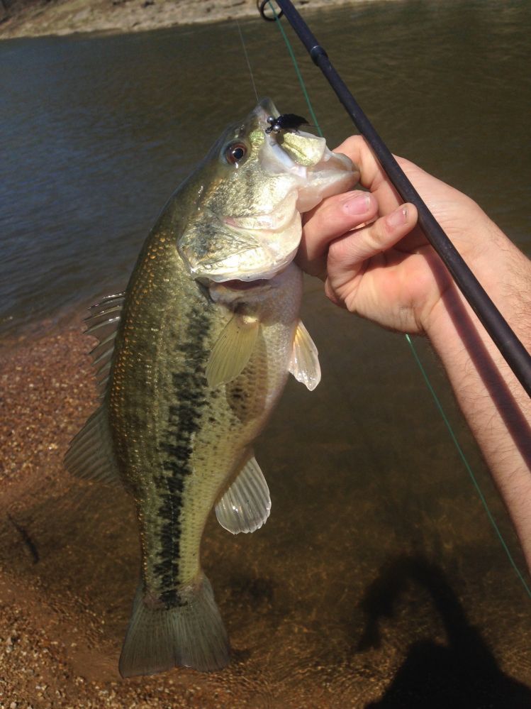 Nice day on the river on a warm day