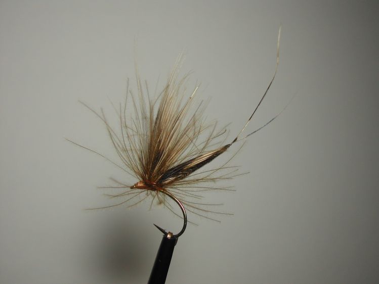 Pheasant &amp; CDC fly