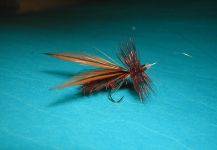 Dry tube flies