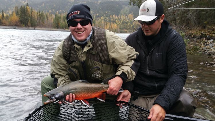 Dolly Varden, Kenai River, Alaska