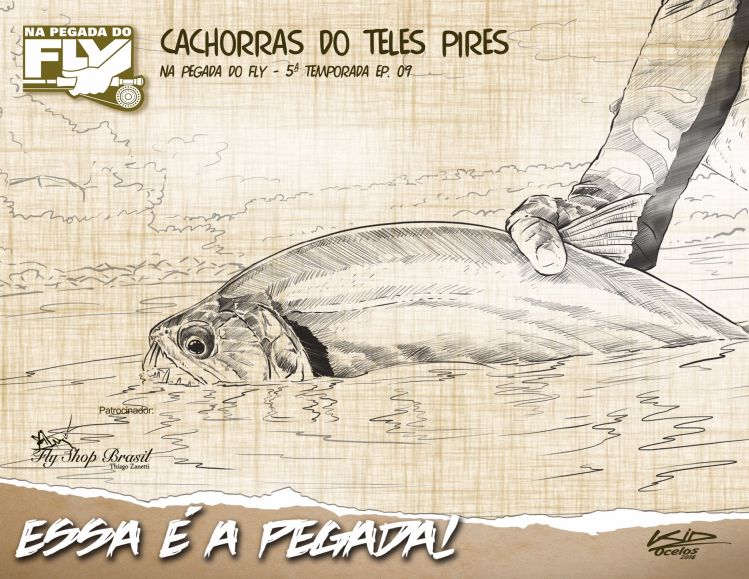 PAYARA FROM BRAZIL