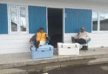 Gaspe' bay Atlantic salmon