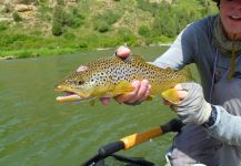 Jackson Hole Fishing