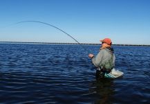 Bluefish - Tailor - Shad Fly-fishing Situation – Jack Denny shared this Great Photo in Fly dreamers 