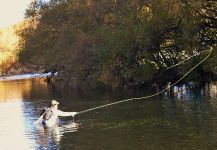 Interesting Fly-fishing Situation of Brown trout shared by Fabian Rubano 