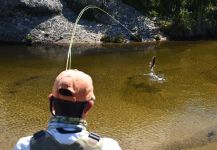 DIEGO COLUSSI 's Fly-fishing Pic of a Rainbow trout – Fly dreamers 