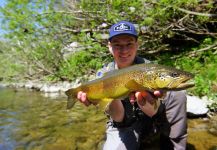  Foto de Pesca con Mosca de Salmo trutta compartida por Lukas Bauer – Fly dreamers