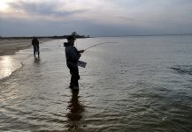 Good Fly-fishing Situation of Bluefish - Tailor - Shad - Image shared by Jack Denny – Fly dreamers