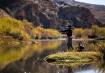 Fly-fishing Situation Picture shared by G Y W – Fly dreamers