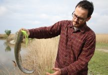 Fly-fishing Image of Catfish shared by Kevin Bache – Fly dreamers