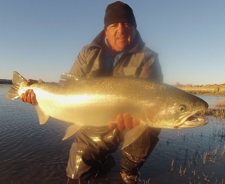 Cierre Abril 2016 , en el Rio Santa Cruz, Steelhead 