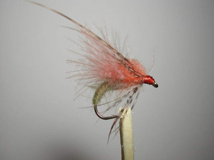 Caddis emerger