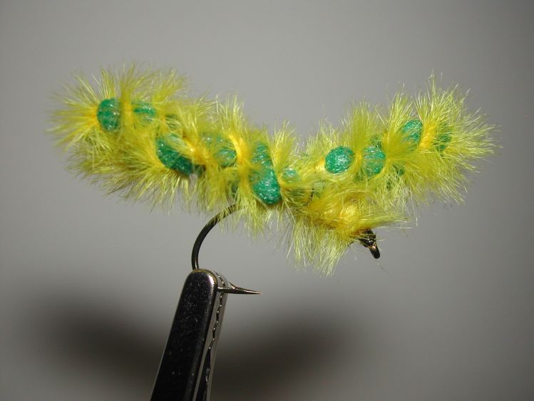 Caterpillar