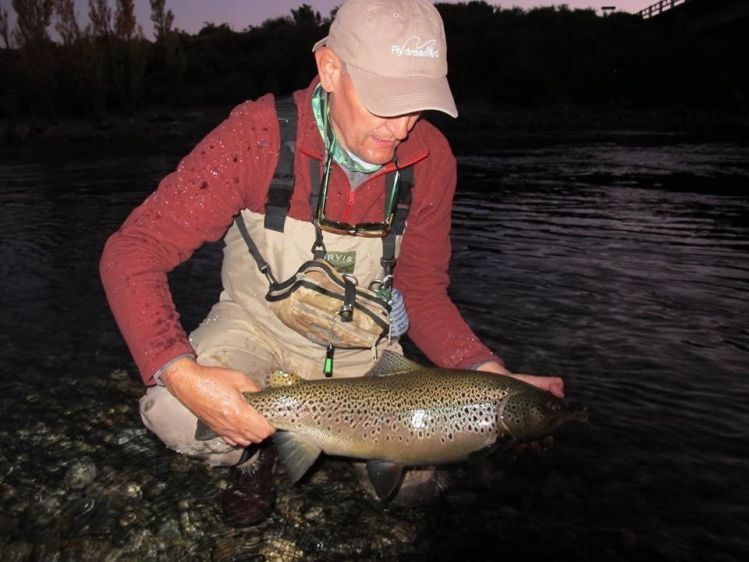 Trucha Marrón capturada  en cercanías del puente de la ruta 237; en el río Limay superior a metros de la boca. 