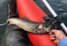  Una Gran foto de Pesca con Mosca por Todd Green