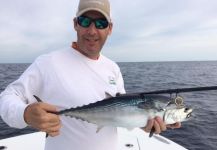 David Bullard 's Fly-fishing Image of a False Albacore - Little Tunny – Fly dreamers 