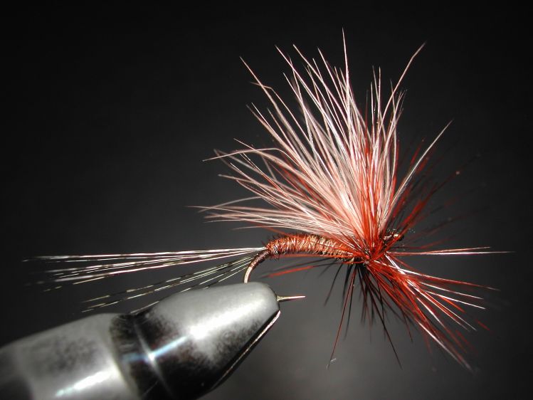 hook bent fly