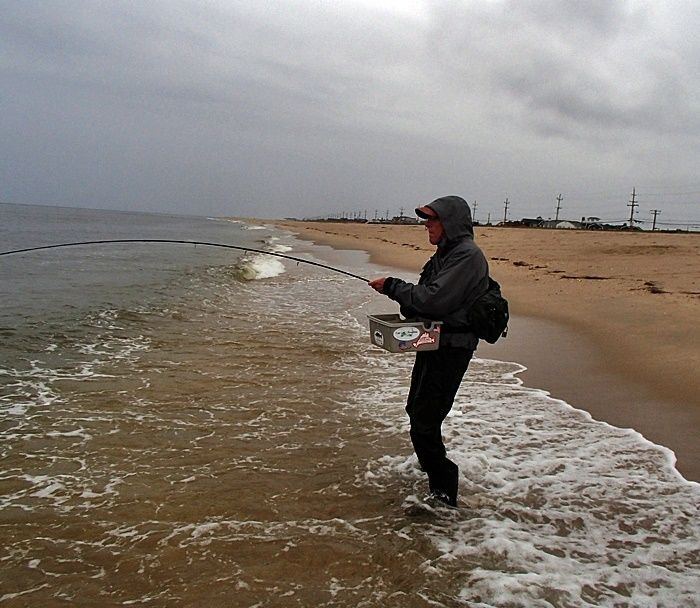 I'm hooked up to the yellow eye devil.....bluefish! The fight in the surf is the best.