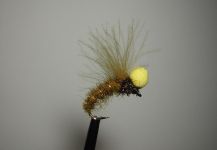  Atado de mosca para Salmo fario  por Agostino Roncallo – Fly dreamers 