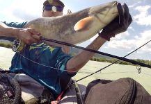 Henrik Megyer 's Fly-fishing Photo of a Wells catfish – Fly dreamers 