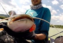 Henrik Megyer 's Fly-fishing Pic of a Catfish – Fly dreamers 