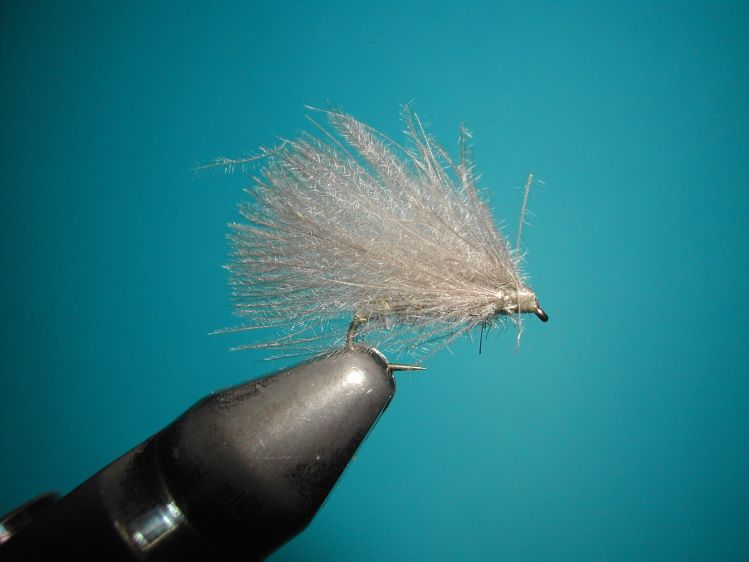 CDC Caddis