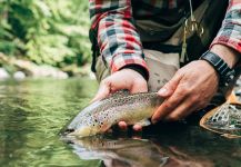  Imagen de Pesca con Mosca de Salmo fario compartida por Brothers On The Fly – Fly dreamers