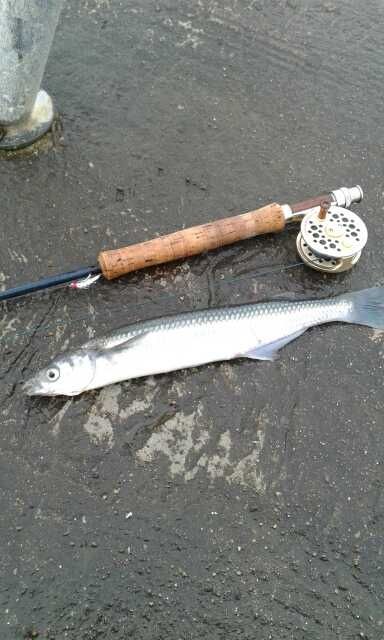 JORNADA DE PESCA JUNTO A ANDRES PEREIRA Y CARLITOS BERNARDUCCI