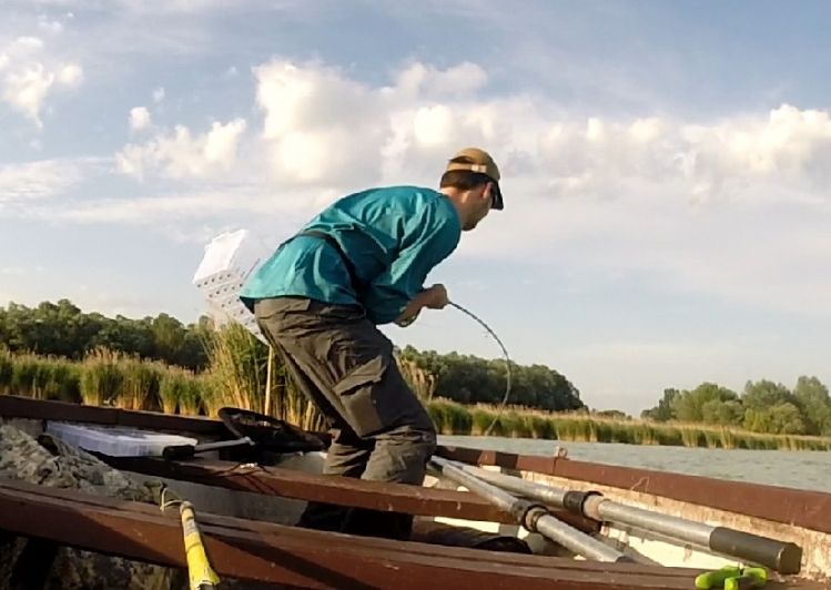 European catfish on the 10 wt. This catfish got away... maybe next time!