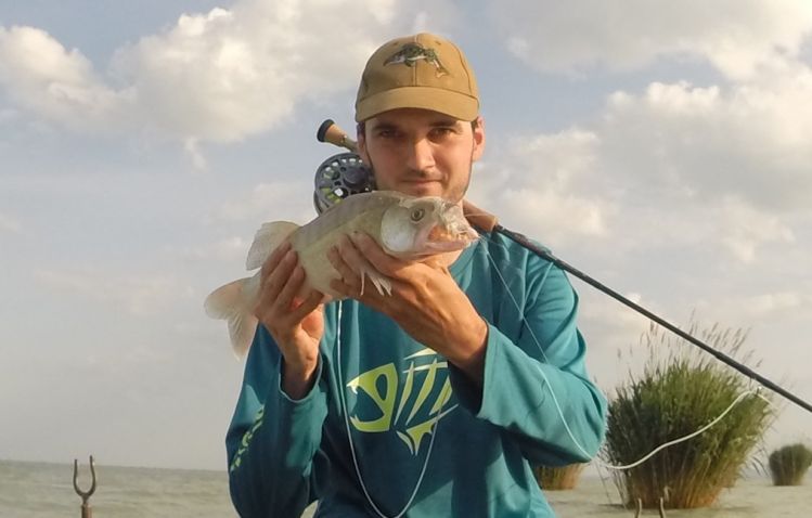 Walleye on the fly