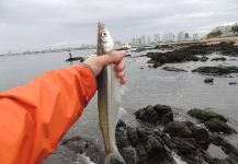  Fotografía de Pesca con Mosca de Pejerrey por Carlos Benarducci – Fly dreamers 