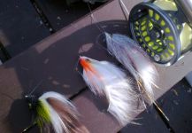 Fly-tying for Blue catfish - Image by Henrik Megyer 