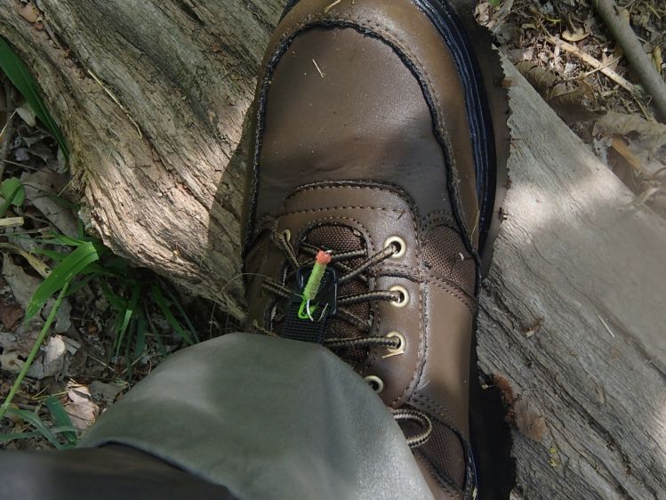 My friend Charlie was fishing up river, his line came close to me.....really close! Does happen to you?