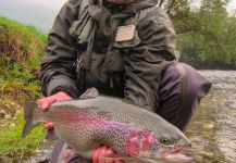 Jošt Hašaj - Sloflyfishing 's Fly-fishing Image of a Rainbow trout – Fly dreamers 