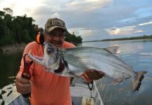 Roberto Véras 's Fly-fishing Photo of a Payara – Fly dreamers 